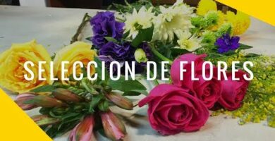 Florería Peonia: La mejor opción para tus arreglos florales