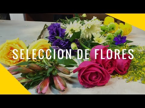 Florería Peonia: La mejor opción para tus arreglos florales