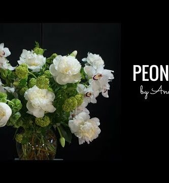 Peonias: Belleza floral en tu hogar