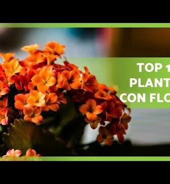 Descubre las mejores flores artificiales peonia para dar vida a tu hogar