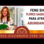 Flores Navarro: Descubre las mejores peonías para tu hogar