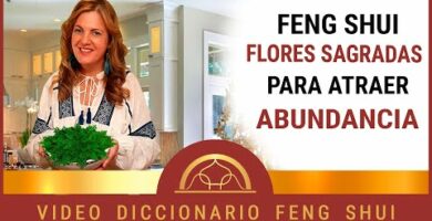 Flores Navarro: Descubre las mejores peonías para tu hogar