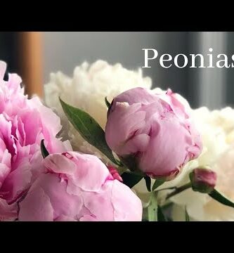 Peonias amarillas: la belleza radiante de estas flores