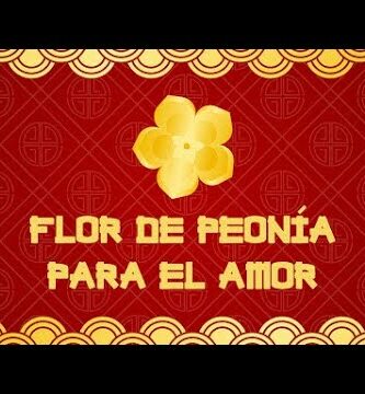 Descubre el significado de las peonías rosas: un mensaje de amor y gratitud