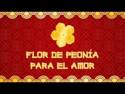 Descubre el significado de las peonías rosas: un mensaje de amor y gratitud