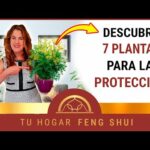 Flor de peonía feng shui: Significado y beneficios para tu hogar