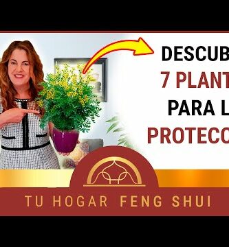 Flor de peonía feng shui: Significado y beneficios para tu hogar