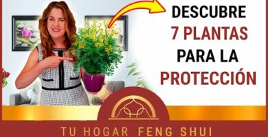 Flor de peonía feng shui: Significado y beneficios para tu hogar