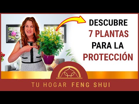 Flor de peonía feng shui: Significado y beneficios para tu hogar