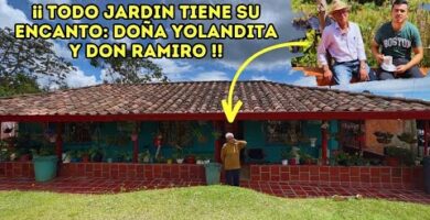 Jardín de Peonías: Belleza y Armonía en tu Hogar