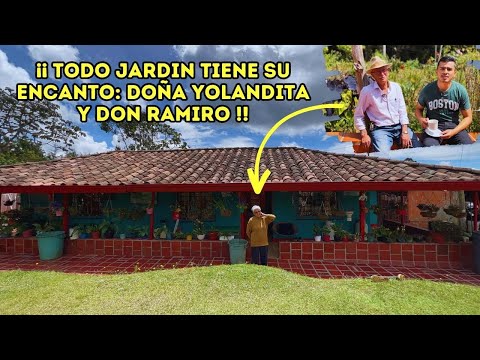 Jardín de Peonías: Belleza y Armonía en tu Hogar