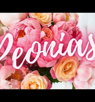 Rosas similares a peonías: descubre estas hermosas flores