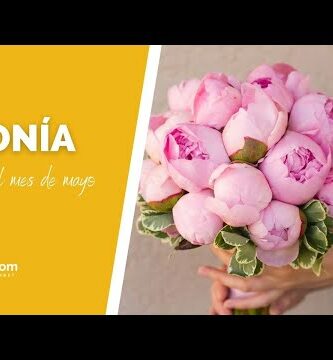 Floristería Las Peonias: La belleza de las flores a tu alcance